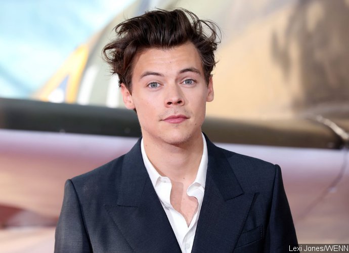 Harry Styles Wants to Erase His One Direction Roots and 'Reinvent Himself as a Rock Star'