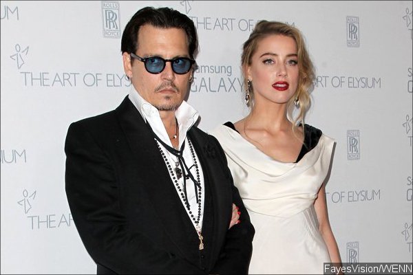 Johnny Depp's Dogs Facing Euthanasia for Entering Australia Illegally