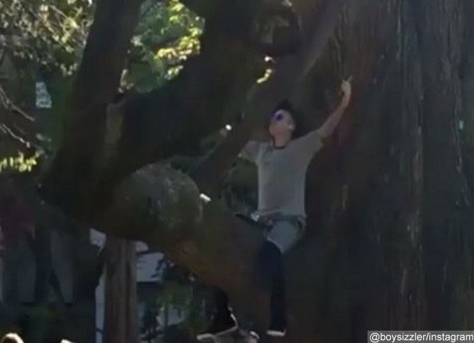 Justin Bieber Spotted Doing Some Stretching While Sitting in a Big Tree in Boston Public Garden