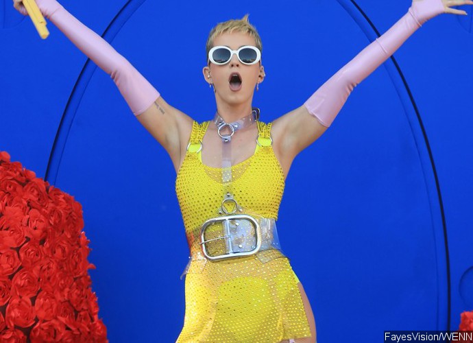 Katy Perry Accidentally Flashes Her Bare Butt During Live Stre