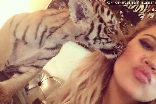 Khloe Kardashian Criticized After Posing With Tiger Cub During a Dubai Trip
