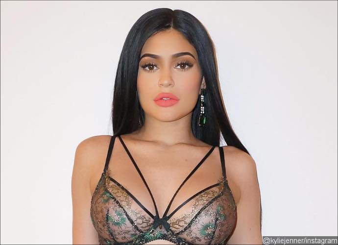 Kylie Jenner Shows Off Ample Assets in Sheer Bra