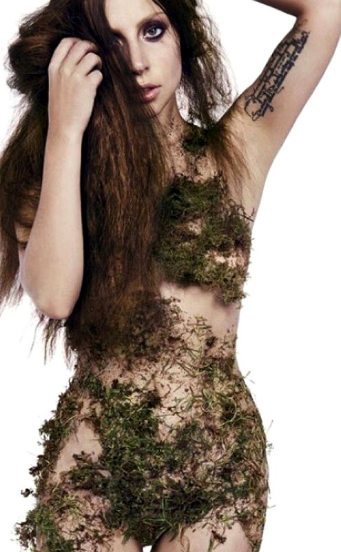 lady-gaga-bares-butt-for-do-what-u-want-