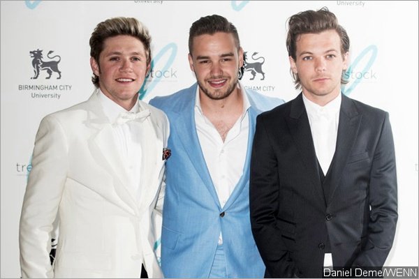 Liam Payne and Louis Tomlinson Prank Niall Horan With Toilet Paper-Covered Car