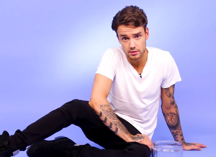 Hear, Hear! Liam Payne Says One Direction Reunion May Include a Tour