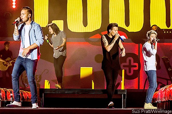 Louis Tomlinson Performs With One Direction for First Time Since Baby News