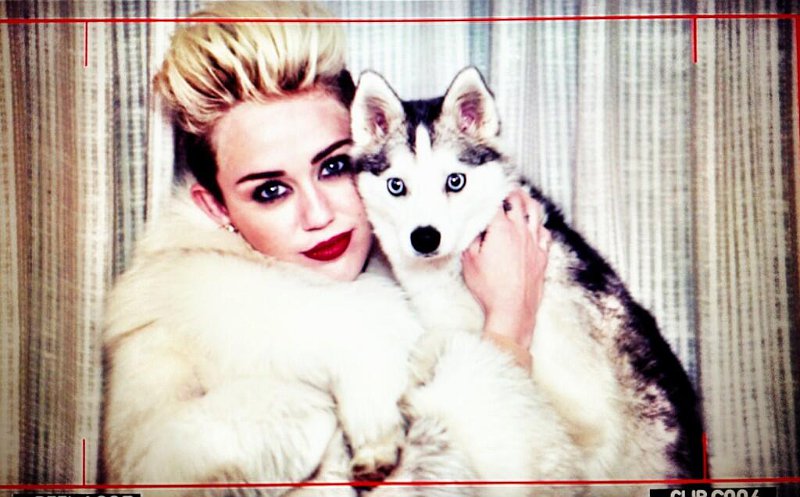 miley-cyrus-shares-images-of-we-can-t-st