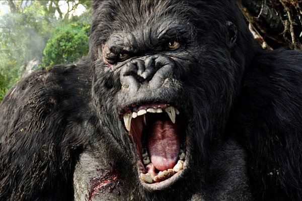 New 'King Kong' Film 'Skull Island' Gets Retitled, Is Delayed for 2017
