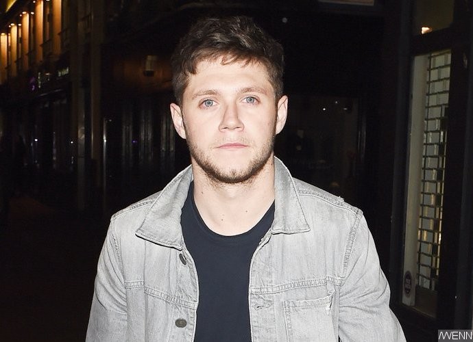 Niall Horan Caught Stroking Mystery Brunnete's Hair During Day Out at Disneyland