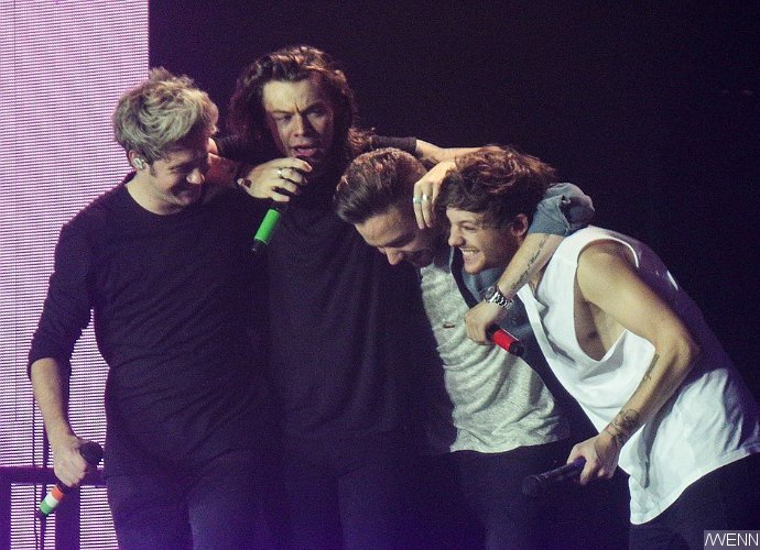 One Direction Holds Moment of Silence at Concert for Paris Attack Victims