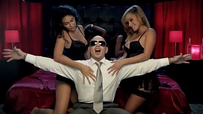 pitbull-s-don-t-stop-the-party-banned-on