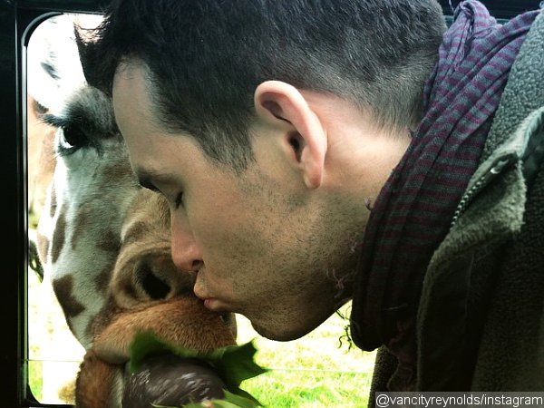 Ryan Reynolds Plants a Kiss on Giraffe's Nose During Safari Park Visit