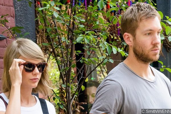 Taylor Swift Mouthing 'I Love You' to Calvin Harris on Stage