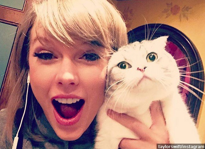 Taylor Swift Reunites With Her Cats After Canada Concert
