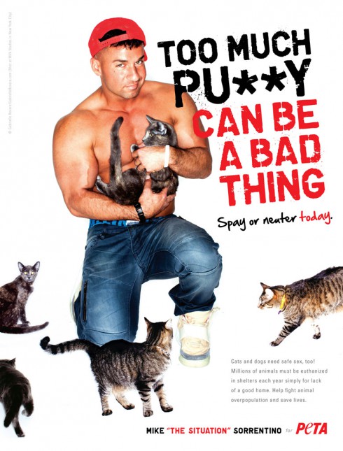... star appears in the organization's latest campaign for cat adoption