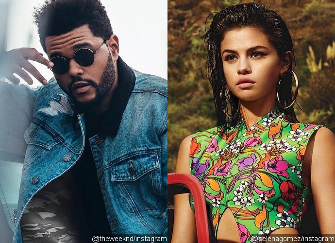 The Weeknd Deletes All Photos of Selena Gomez After Unfollowing Her on Instagram