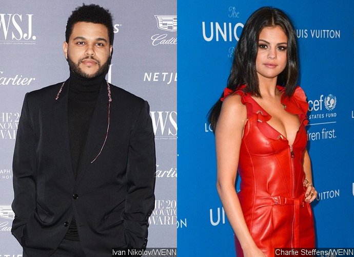 The Weeknd Takes Selena Gomez on Romantic Date at Aquarium in Toronto