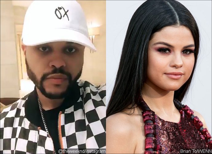 The Weeknd Writes 'I Don't Really Care If You Cry' on Instagram - Does He Shade Selena Gomez?
