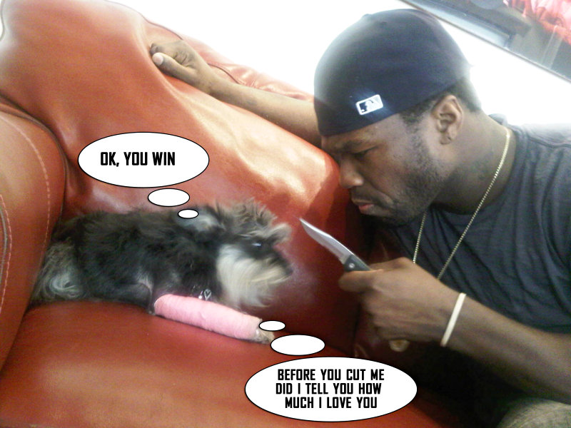 50 Cent Slammed for Holding Knife in Front of Puppy