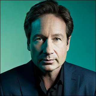 David Duchovny Profile Photo