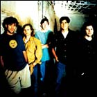 Gin Blossoms Gin Blossoms
