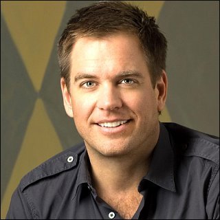 Michael Weatherly Profile Photo