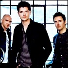 The Script The Script