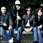 The Verve Profile Photo