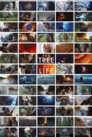 The Tree of Life