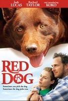 Red Dog