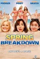 Spring Breakdown