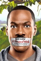 A Thousand Words Poster