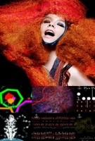 Bjork: Biophilia Live (2014) Profile Photo