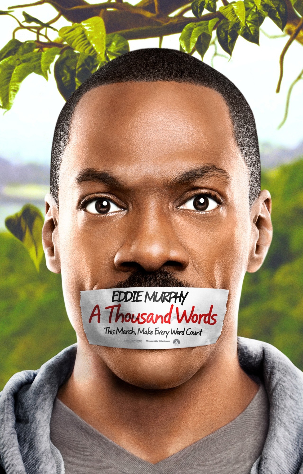 Poster of DreamWorks SKG's A Thousand Words (2012)