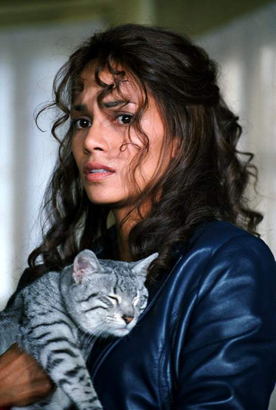 Halle Berry as Patience Phillips in Warner Bros.' Catwoman (2004)