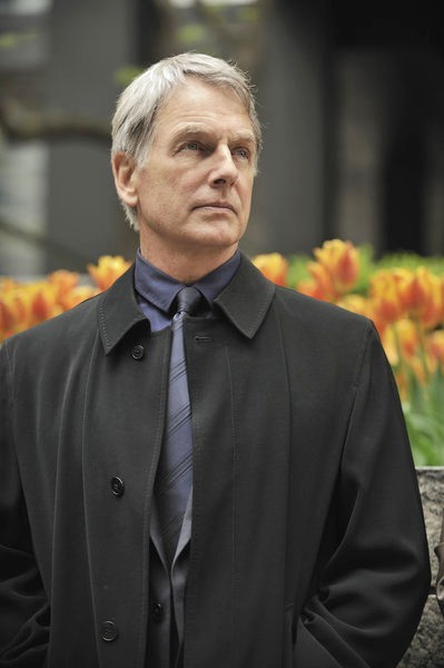 Mark Harmon in USA Network's John Sandford's Certain Prey (2011) Filename 	john-sandford-s-certain-prey05 Picture Width (pixel) 	449