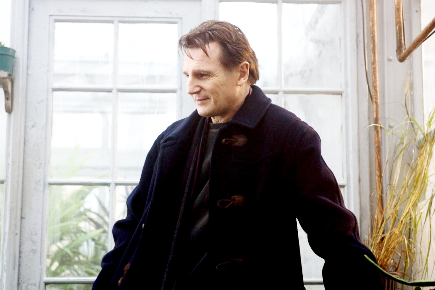 Liam Neeson stars as David in Sony Pictures Classics' Chloe (2010)