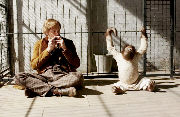 Paul Bettany stars as Charles Darwin in Newmarket Films' Creation (2010)