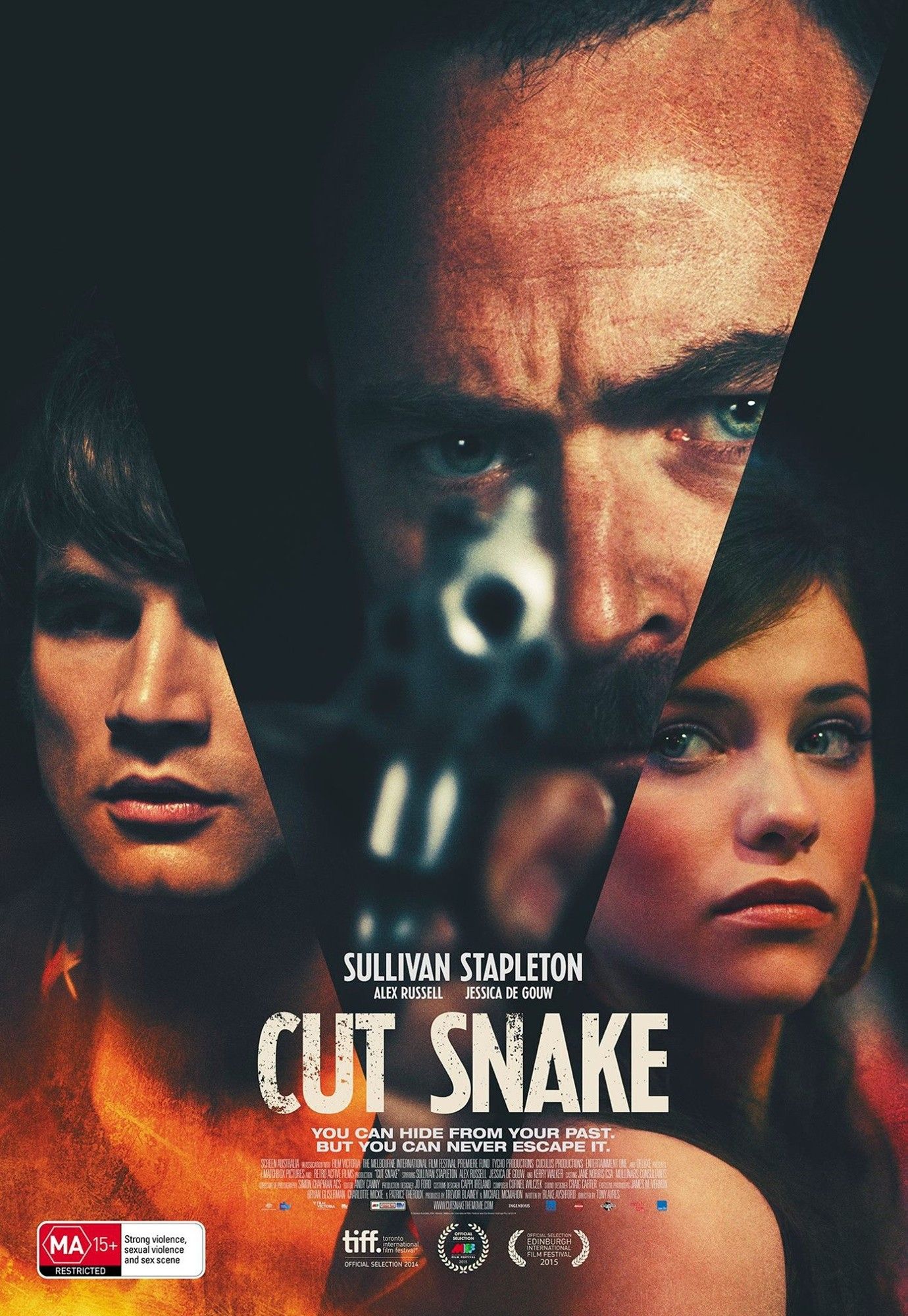 Poster of Monterey Media's Cut Snake (2015)