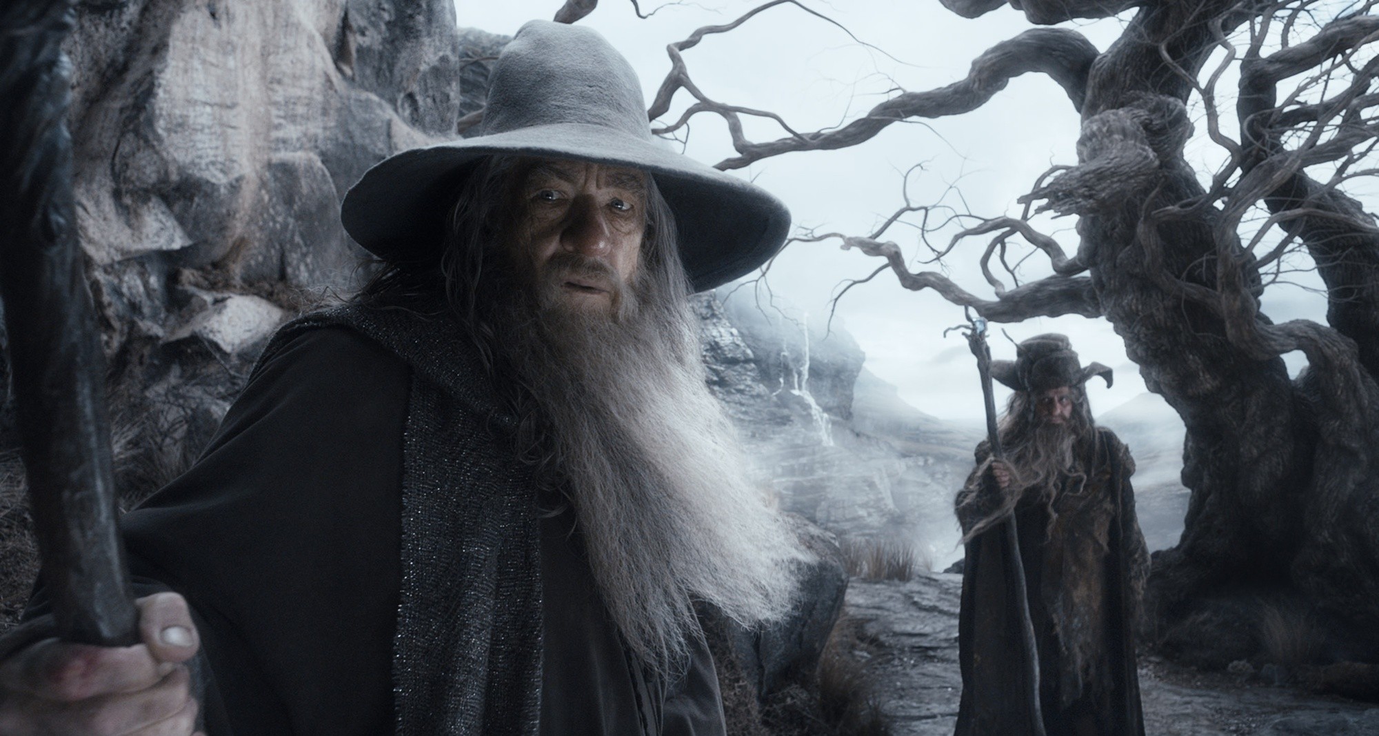 Ian McKellen stars as Gandalf and Sylvester McCoy stars as Radagast in Warner Bros. Pictures' The Hobbit: The Desolation of Smaug (2013)