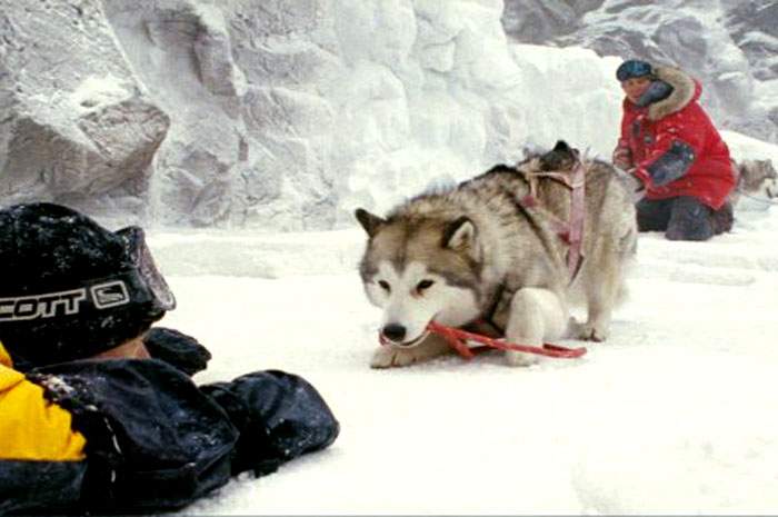 Paul Walker as Jerry Shepard in Walt Disney Pictures' Eight Below (2006)