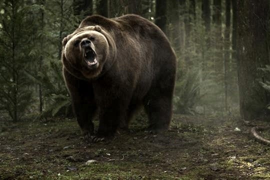A scene from Vertical Entertainment's Into the Grizzly Maze (2015)