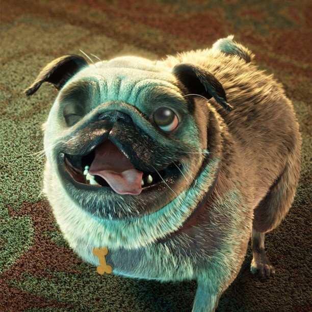 Epic Film Dog | epic picture 33 Epic Film Dog | epic picture 33