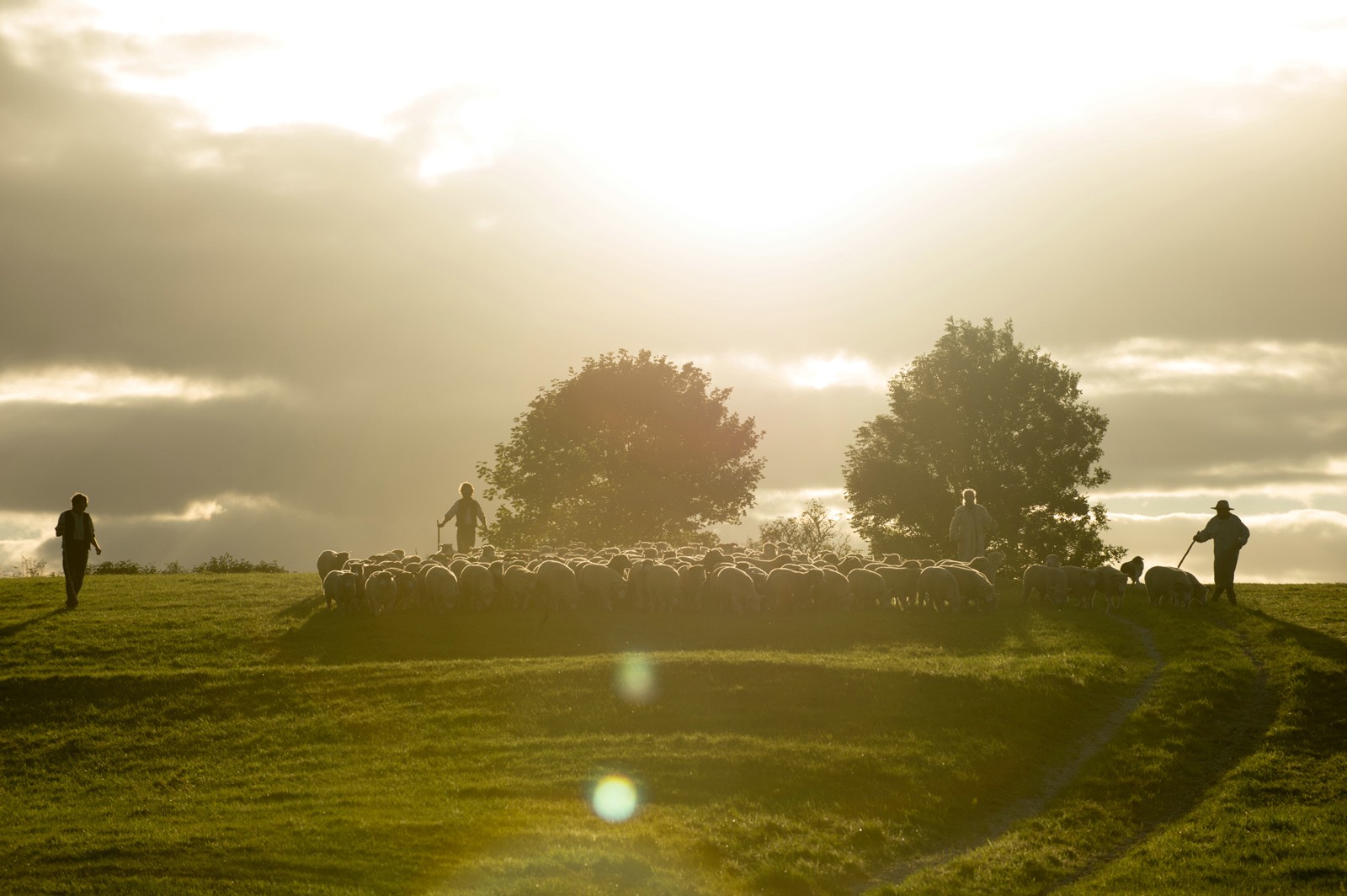 A scene from Fox Searchlight Pictures' Far from the Madding Crowd (2015)