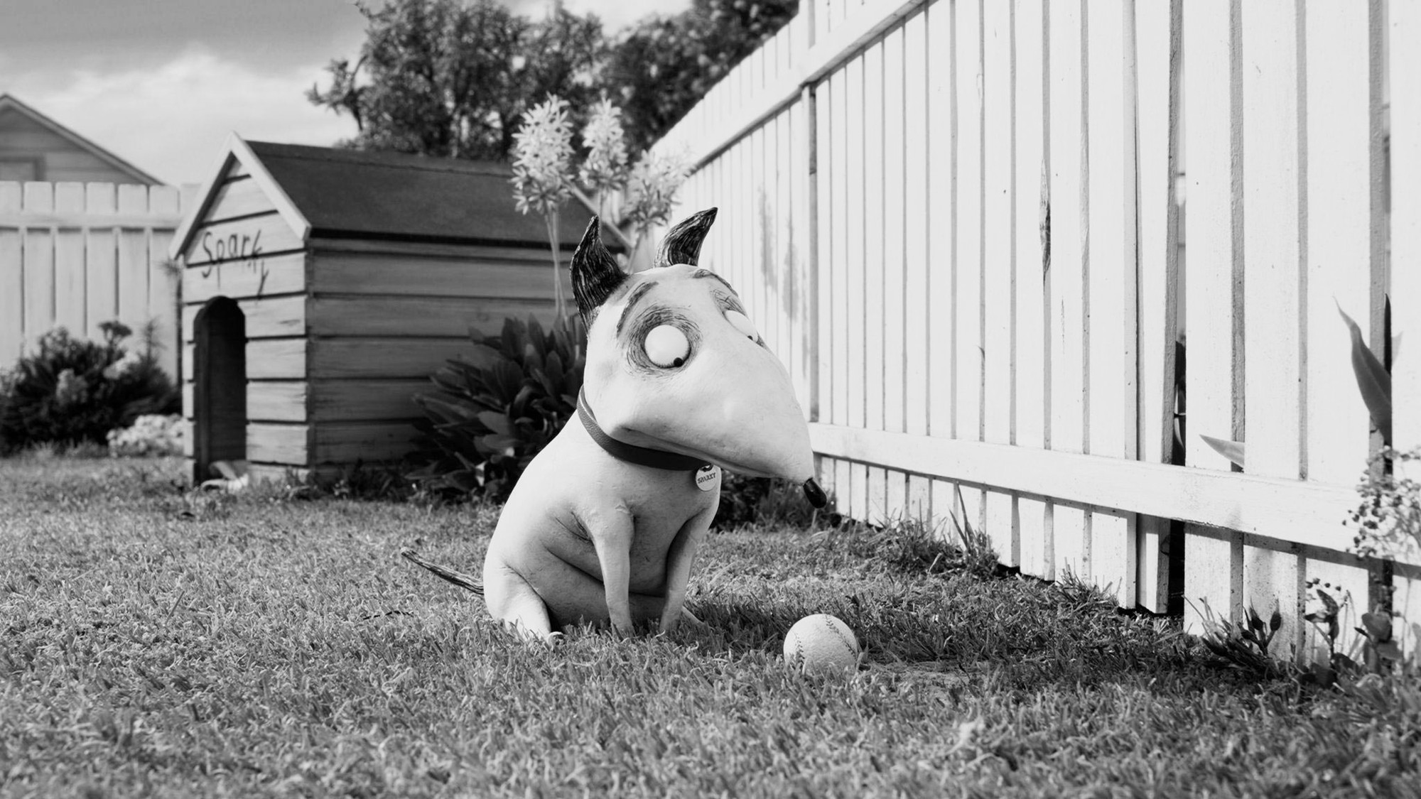 Sparky from Walt Disney Pictures' Frankenweenie (2012)