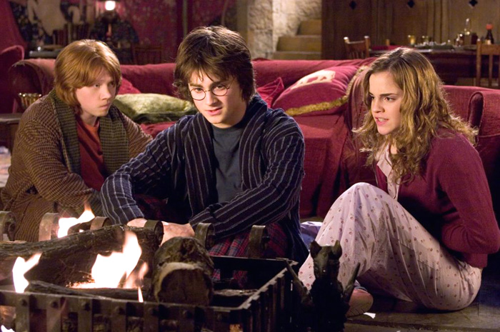 his friends Hermione and Ron, Harry