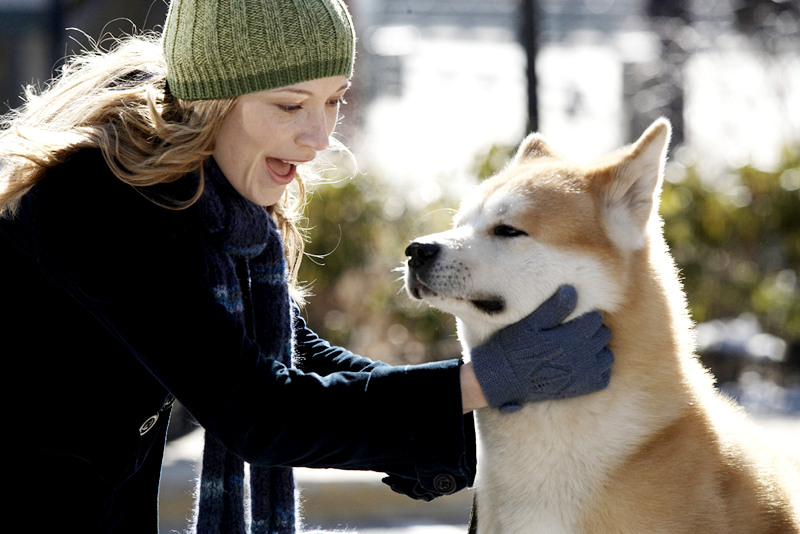 Dog Waits For Owner At Train Station Movie Dog Waits For Owner At Train Station Movie