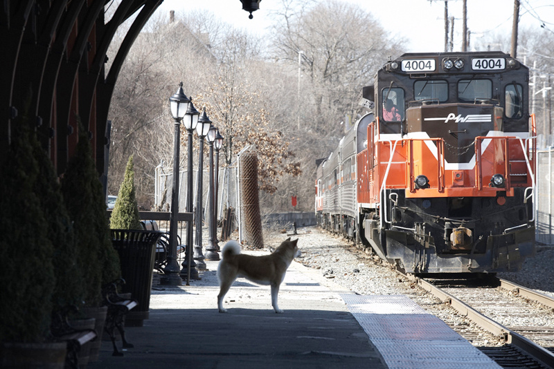 A scene from Consolidated Pictures Group's Hachiko: A Dog's Story (2009)