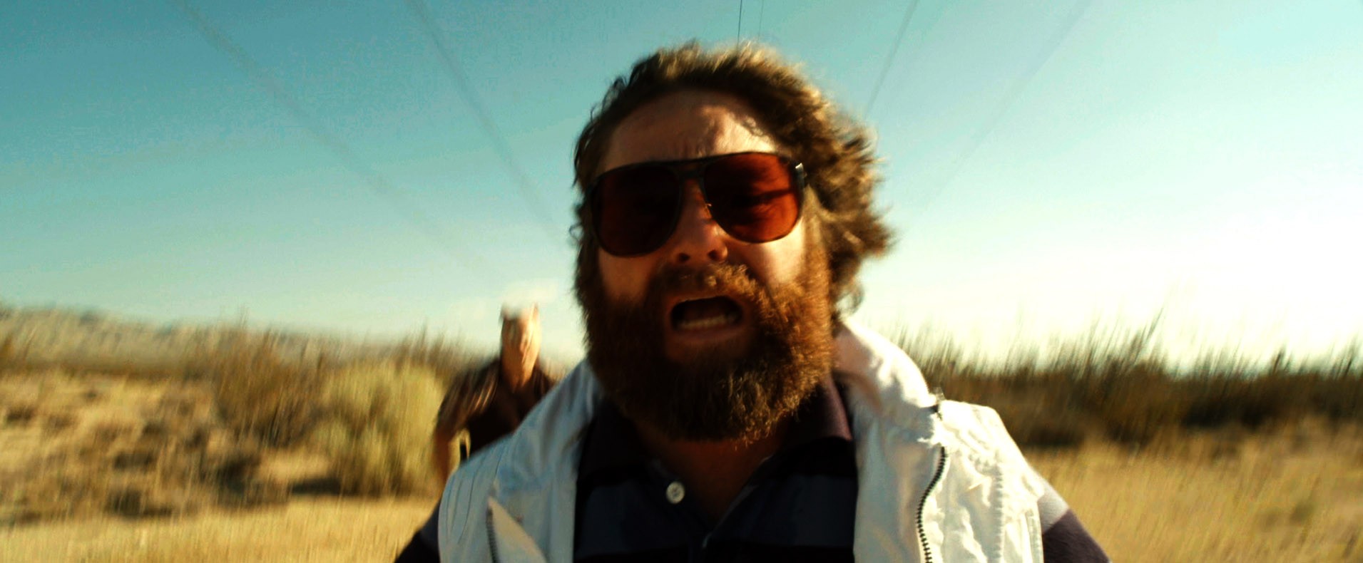 Zach Galifianakis stars as Alan in Warner Bros. Pictures' The Hangover Part III (2013)