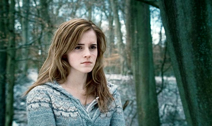 hermione's style of hair